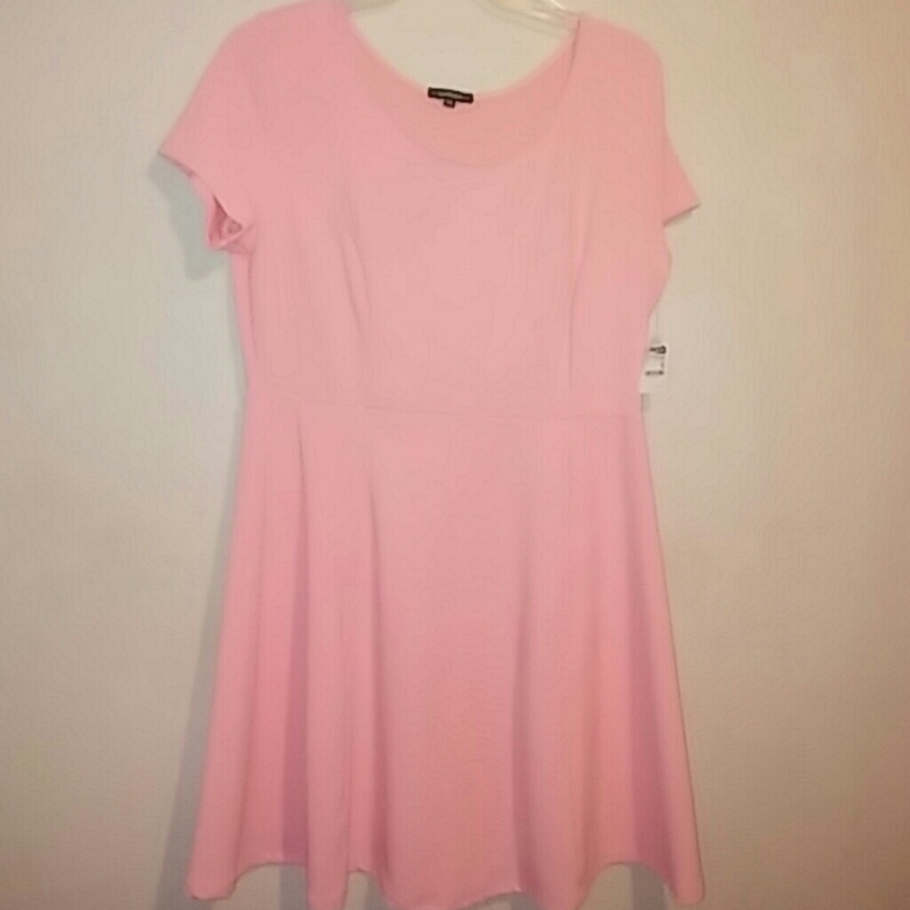 Ambiance skater dress